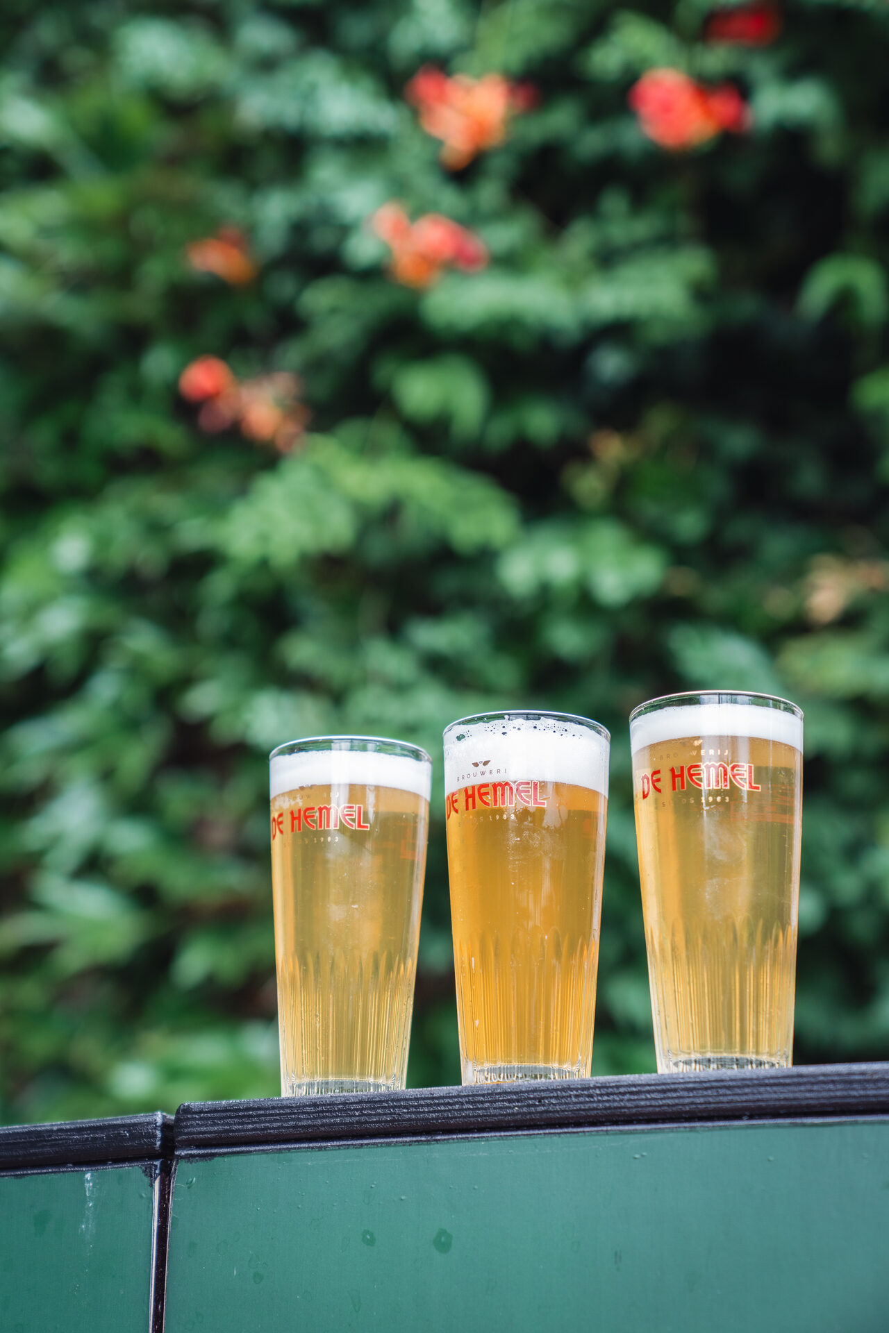 Drie huisgebrouwen bieren voor de klimopmuur van De Hemel